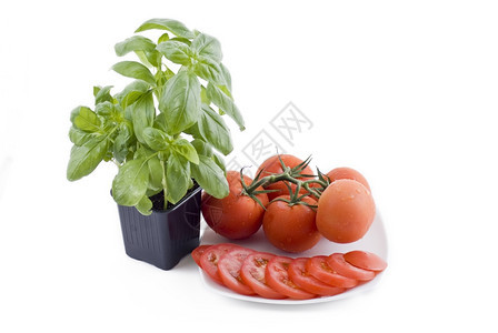 束草本植物新鲜的烤肉锅和盘子一堆番茄和切片食物图片