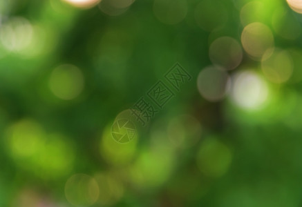 明亮的圆圈墙纸Bokeh绿色自然光和阴影不集中的抽象背景图片