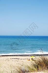 葡萄牙西南部Milfontes海滩沙丘植物大西洋维拉图片