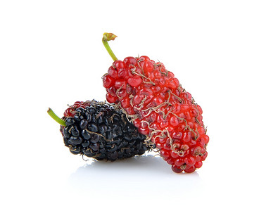 白色背景的mulberry孤立于白底多汁的黑色食物图片素材