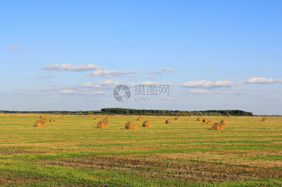 夏季草地平原上的草垛图片