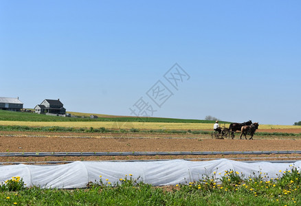 场地兰开斯特县农村美丽的阿米什农场户外景观图片