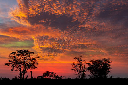 日落非洲风景图片