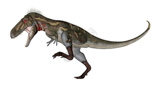 爬虫诺亚兰努斯恐龙在白色背景下咆哮三维转化野生动物白色的图片