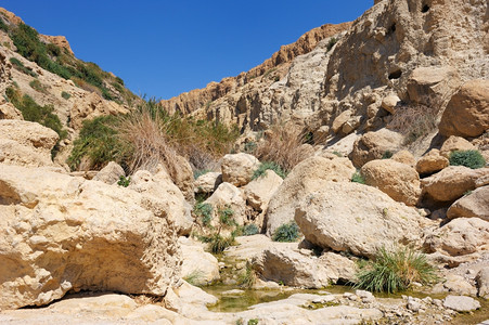 沿岸干旱岩石悬崖图片