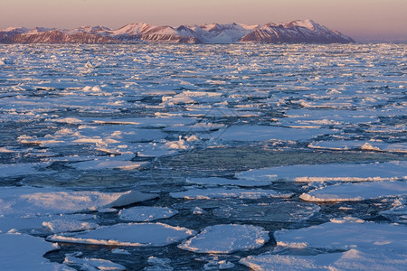 东格陵兰岛海岸外的冰北极冷冻融化图片