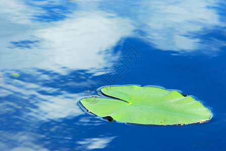 绿色蓝天和乌云在水中反射独坡季节图片