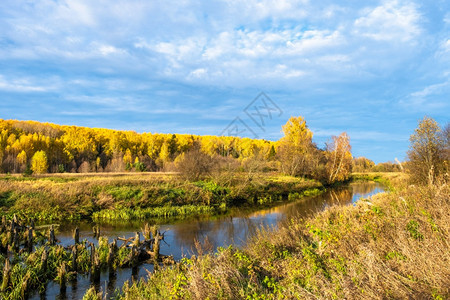 俄罗斯秋天风景河水小岸厚高和干草茂密俄罗斯高的厚天空图片