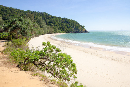 树木假期泰国兰达岛海滩ayCapeTanod热带图片