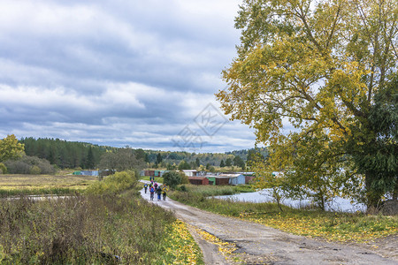 秋季俄罗斯郊野风光图片