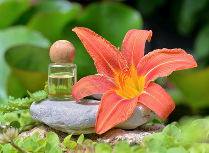 木制的结石关心基本油瓶用木头盖在一块石上旁边是一根大橙色花朵上面是一棵大橘子花旁边是一朵大露天花旁边是一颗大红桃花图片