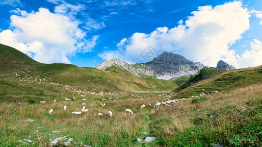 美丽的草原风景图片