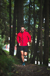 赛跑者高度爬坡道林子里的骑手在自然足迹上图片