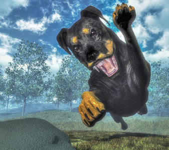罗威勒犬在大自然中奔跑3D渲染罗威勒犬奔跑渲染朋友毛皮手图片