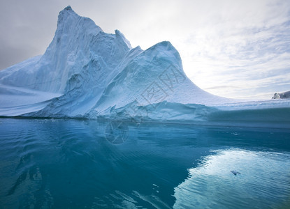 峡湾冷冻东格陵兰唐士比松的冰山冻结图片