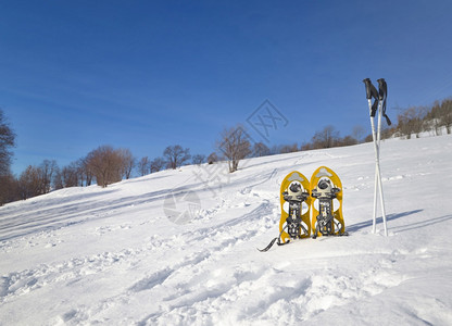 滑雪的用具插在雪地上图片