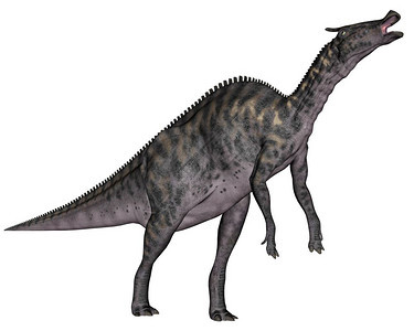草食自然以白色背景与世隔绝的恐龙3D化亚罗洛弗斯恐龙3D化白色的图片