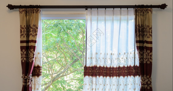 棕色的百叶窗带有半透明帘的玻璃树图片