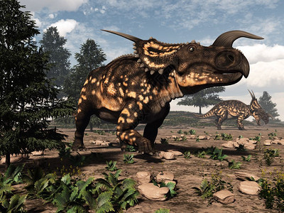 每天在沙漠中行走的两只恐龙3D变成沙漠中的恐龙3D化身经过暴龙草食图片