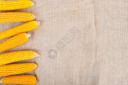 玉米的耳朵被撕裂在布隆普的背景上落下喜庆的收成图片