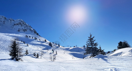 阳光明媚的蓝天下美丽雪景图片