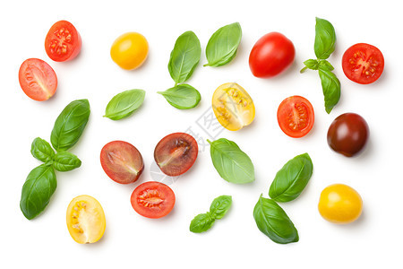饮食在白色背景上孤立的西红柿和巴尔叶植物黄色的图片