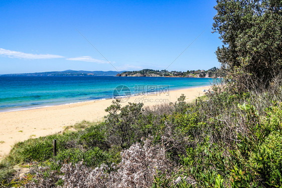 澳大利亚新南威尔士州伊登Aylings海滩之景洋沿伦图片