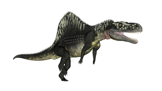 亚利桑那龙恐以白色背景张开嘴三维化身插图主龙类形象的图片