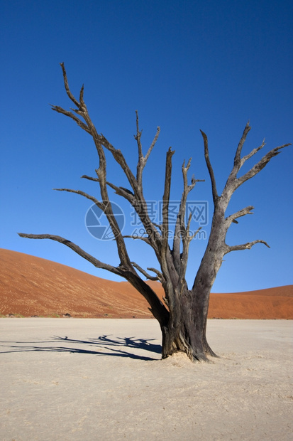 景观风荒野纳米比亚索苏夫莱附近Namibnuakluft沙漠的Vlei图片