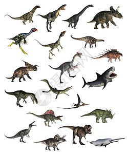 一组各种恐龙3D转化阿根廷龙翼手侏罗纪图片