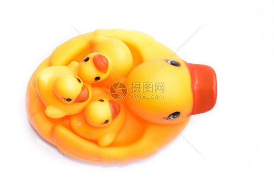 白色背景上的黄橡胶鸭橙动物淋浴图片
