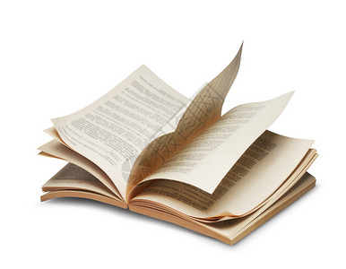 花瓣落在书上飞行知识闪烁打开的书浏览页面翻动在白色背景书上孤立