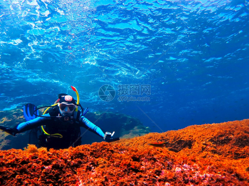 海底珊瑚礁上的潜水员图片