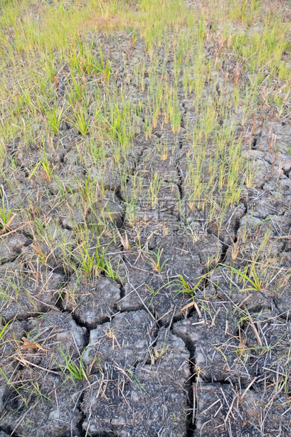 农村地区土的裂口clay沙漠质地干燥热环境图片
