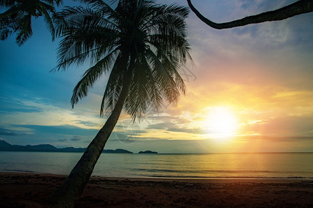 黄昏塔伊兰省特拉河边美丽的日落天空和椰子海滨旅行达拉图片