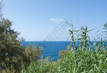 夏天马耳他语经过9月在马耳他阳光明媚的一天地中海以南马耳他部的鸟岛FilflaBird岛FilflaFirfla图片