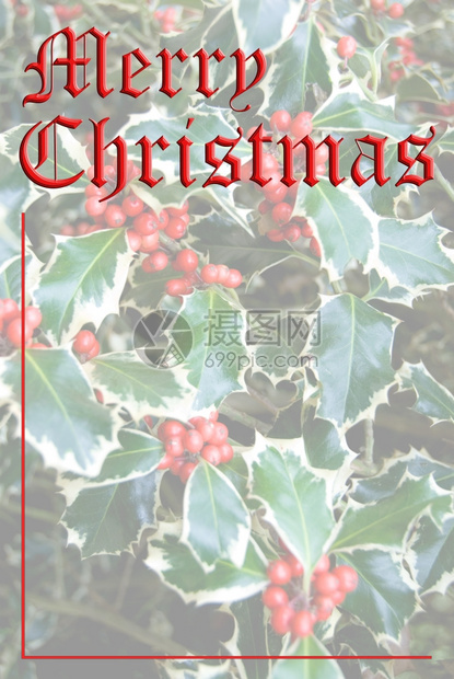 节日绿庆祝圣诞快乐关于不同霍莉背景的祝词图片