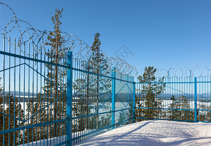 金属树木在林中的私人领地内在铁丝网覆盖的栅栏后面建造图片