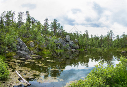 自然一个美丽的小湖位于俄罗斯卡丽莉亚夏季的天空旅游图片