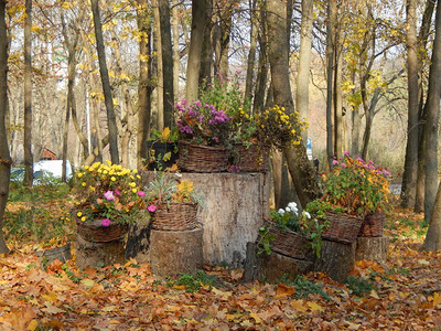 木制的户外公园艺术景观美化花凉棚图片