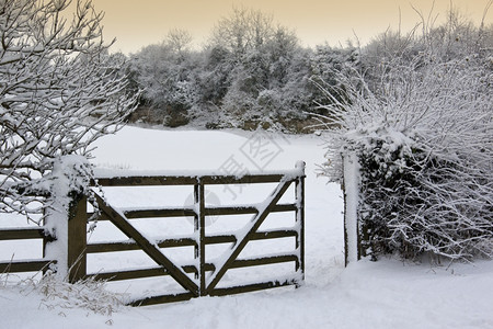 被雪覆盖的木栏杆图片