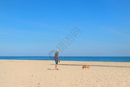 假期地平线Corsica海滩景观东岸有人和狗享受图片