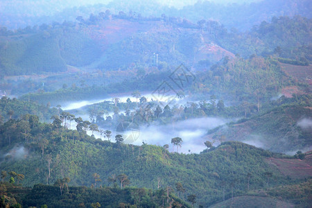 美丽的山谷风景图片