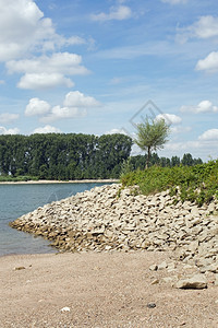 松弛恢复德国赫森州格恩海姆莱茵河滨岸贝壳图片