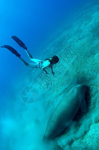 蓝色的浮潜勘探自由水的女孩和海藻在深中两只美人鱼图片