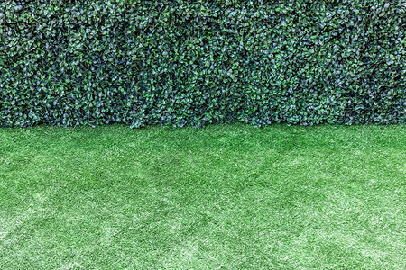 抽象的绿色人工造草地和灌木围栏无缝的自然图片