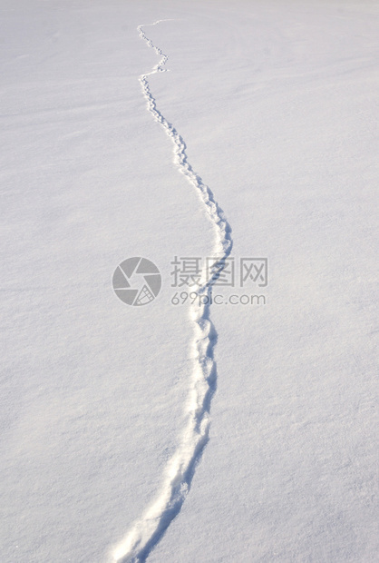 带动物痕迹的雪田冬季时间场地踪迹白天图片