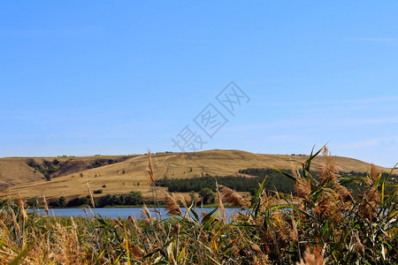 叶子夏季美丽的风景有峡谷和山沟壑植物群图片