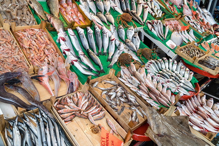 行业健康伊斯坦布尔渔场上的各种鱼销售背景图片