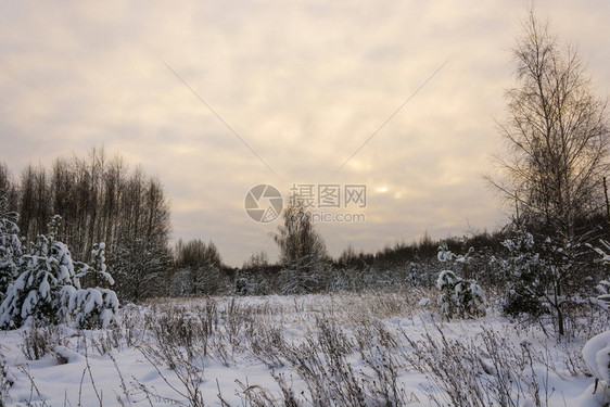 十二月美丽的冬季风景在12月寒冷的一天有雪覆盖树木天空多云冷若冰霜俄罗斯图片